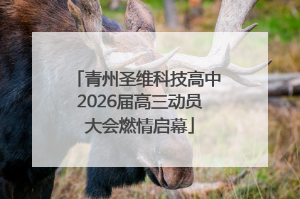 青州圣维科技高中2026届高三动员大会燃情启幕