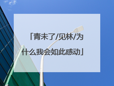 青未了/见林/为什么我会如此感动
