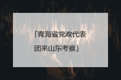 青海省党政代表团来山东考察