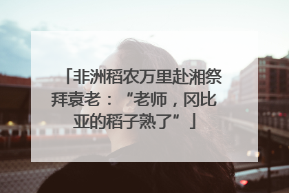 非洲稻农万里赴湘祭拜袁老：“老师，冈比亚的稻子熟了”