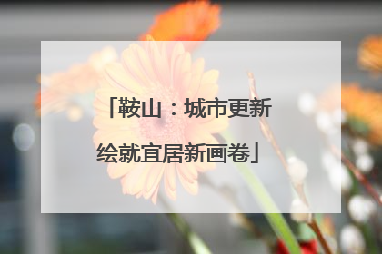 鞍山：城市更新绘就宜居新画卷