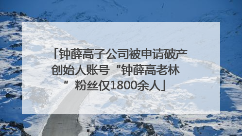 钟薛高子公司被申请破产 创始人账号“钟薛高老林”粉丝仅1800余人