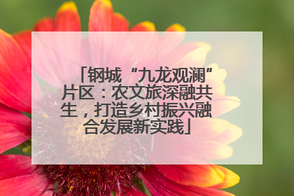 钢城“九龙观澜”片区：农文旅深融共生，打造乡村振兴融合发展新实践