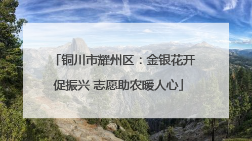 铜川市耀州区：金银花开促振兴 志愿助农暖人心