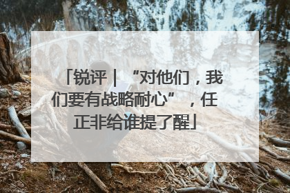 锐评｜“对他们，我们要有战略耐心”，任正非给谁提了醒