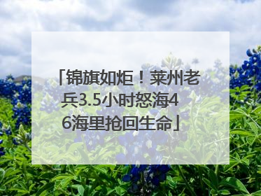锦旗如炬！莱州老兵3.5小时怒海46海里抢回生命