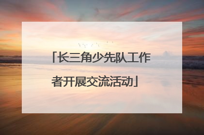 长三角少先队工作者开展交流活动