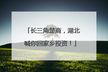 长三角楚商，湖北喊你回家乡投资！