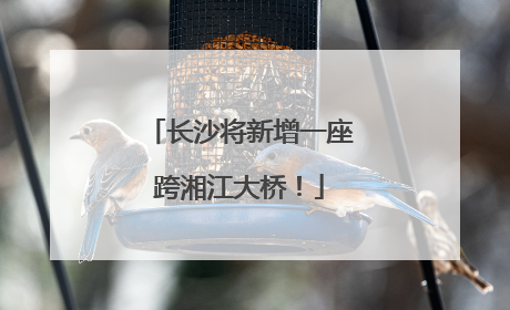 长沙将新增一座跨湘江大桥！