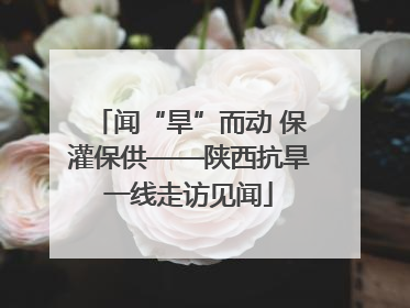 闻“旱”而动 保灌保供——陕西抗旱一线走访见闻
