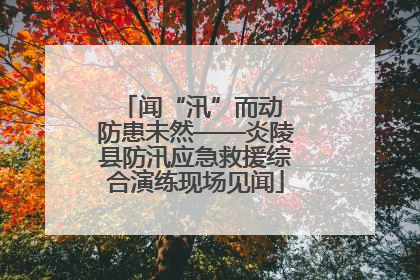 闻“汛”而动 防患未然——炎陵县防汛应急救援综合演练现场见闻
