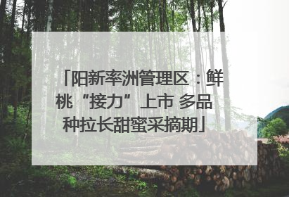 阳新率洲管理区：鲜桃“接力”上市 多品种拉长甜蜜采摘期