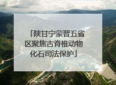 陕甘宁蒙晋五省区聚焦古脊椎动物化石司法保护