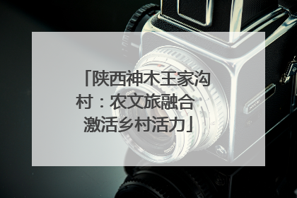 陕西神木王家沟村：农文旅融合 激活乡村活力