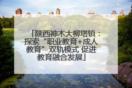 陕西神木大柳塔镇：探索“职业教育+成人教育”双轨模式 促进教育融合发展