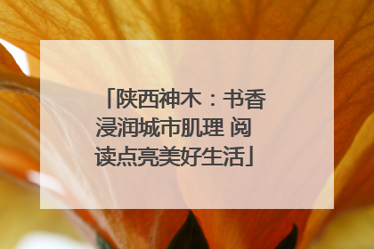 陕西神木：书香浸润城市肌理 阅读点亮美好生活