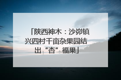 陕西神木：沙峁镇兴四村千亩杂果园结出“杏”福果