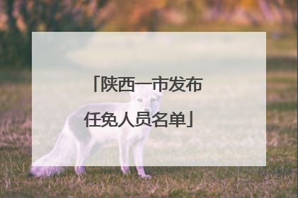 陕西一市发布任免人员名单