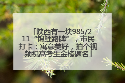 陕西有一块985/211“锦鲤路牌”，市民打卡：寓意美好，拍个视频祝高考生金榜题名