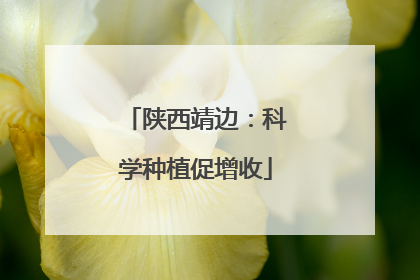 陕西靖边：科学种植促增收