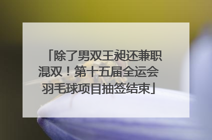除了男双王昶还兼职混双！第十五届全运会羽毛球项目抽签结束