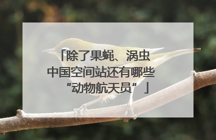 除了果蝇、涡虫 中国空间站还有哪些“动物航天员”