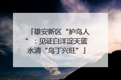 雄安新区“护鸟人”：见证白洋淀天蓝水清“鸟丁兴旺”