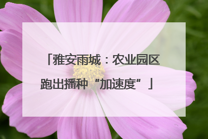 雅安雨城：农业园区跑出播种“加速度”