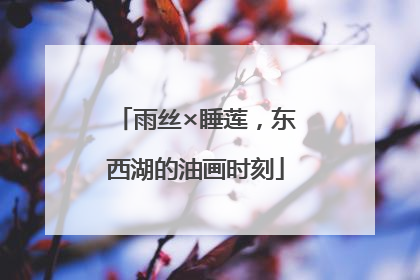 雨丝×睡莲，东西湖的油画时刻