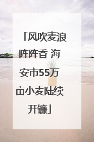 风吹麦浪阵阵香 海安市55万亩小麦陆续开镰
