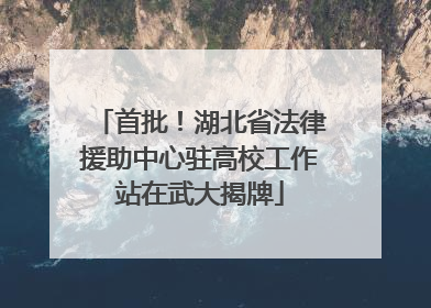 首批！湖北省法律援助中心驻高校工作站在武大揭牌