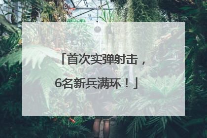 首次实弹射击，6名新兵满环！