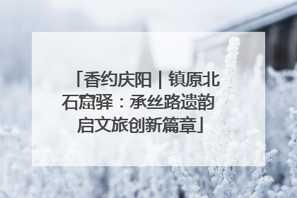香约庆阳｜镇原北石窟驿：承丝路遗韵 启文旅创新篇章