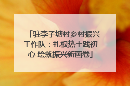 驻李子塘村乡村振兴工作队：扎根热土践初心 绘就振兴新画卷