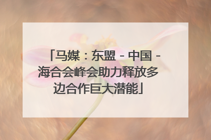 马媒：东盟－中国－海合会峰会助力释放多边合作巨大潜能