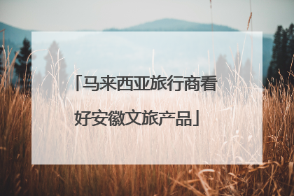 马来西亚旅行商看好安徽文旅产品