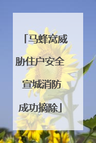 马蜂窝威胁住户安全 宣城消防成功摘除