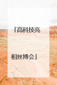 高科技亮相丝博会