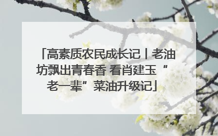高素质农民成长记丨老油坊飘出青春香 看肖建玉“老一辈”菜油升级记