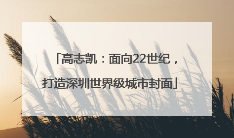 高志凯：面向22世纪，打造深圳世界级城市封面