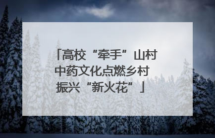 高校“牵手”山村 中药文化点燃乡村振兴“新火花”