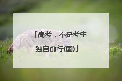 高考，不是考生独自前行(图)