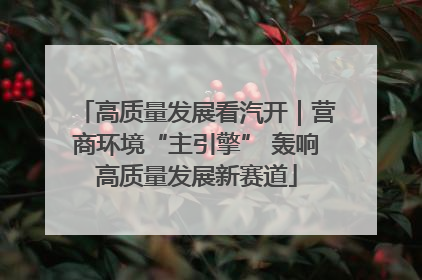 高质量发展看汽开｜营商环境“主引擎” 轰响高质量发展新赛道