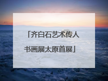 齐白石艺术传人书画展太原首展