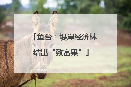 鱼台：堤岸经济林结出“致富果”