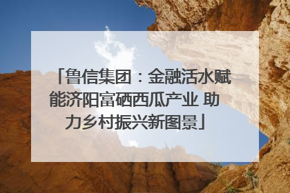 鲁信集团：金融活水赋能济阳富硒西瓜产业 助力乡村振兴新图景