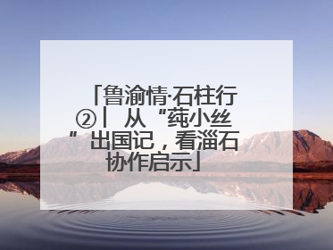 鲁渝情·石柱行② ︳从“莼小丝”出国记，看淄石协作启示