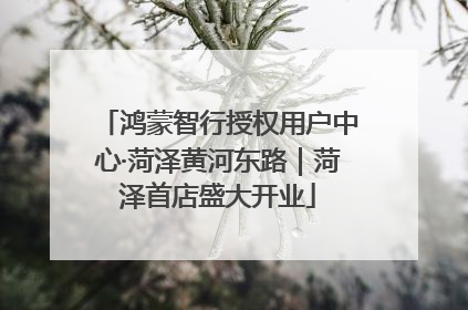 鸿蒙智行授权用户中心·菏泽黄河东路｜菏泽首店盛大开业