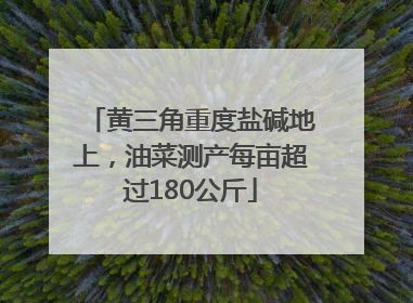 黄三角重度盐碱地上，油菜测产每亩超过180公斤
