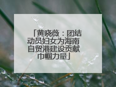 黄晓薇：团结动员妇女为海南自贸港建设贡献巾帼力量
